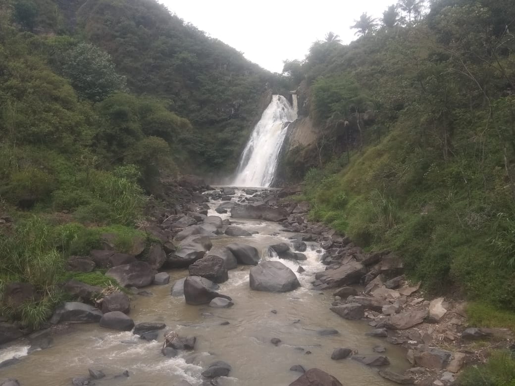 WhatsApp Image 2022-07-18 at 08.24.34 (1)
